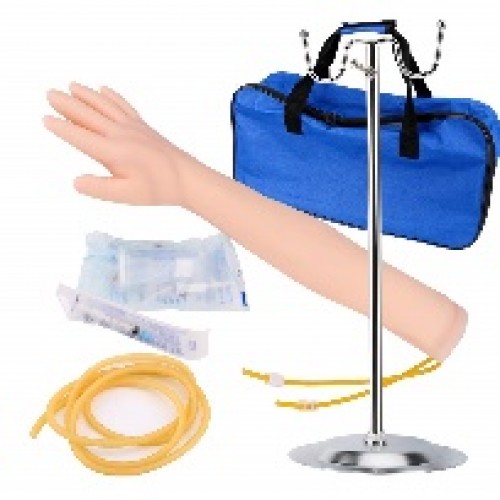 Multi-Venous Iv Training Arm